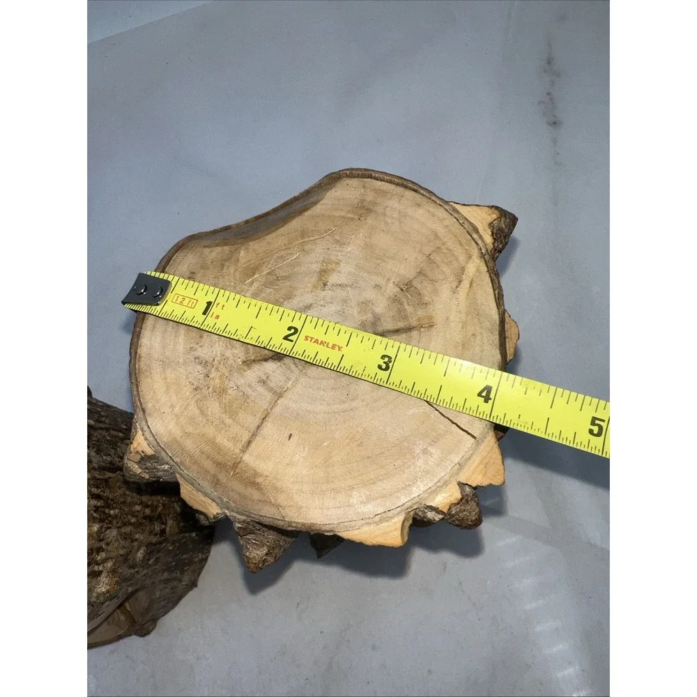 Owl Carved in Split Tree Branch Log 6